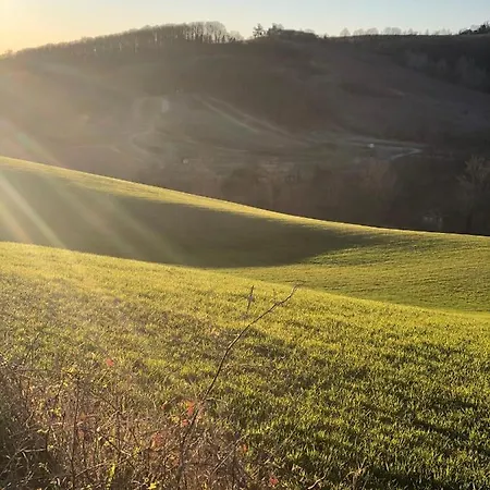 La Torretta Oda ve Kahvaltı Coniolo