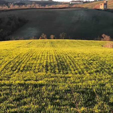 La Torretta Oda ve Kahvaltı *
