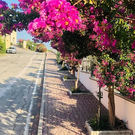 La Torretta